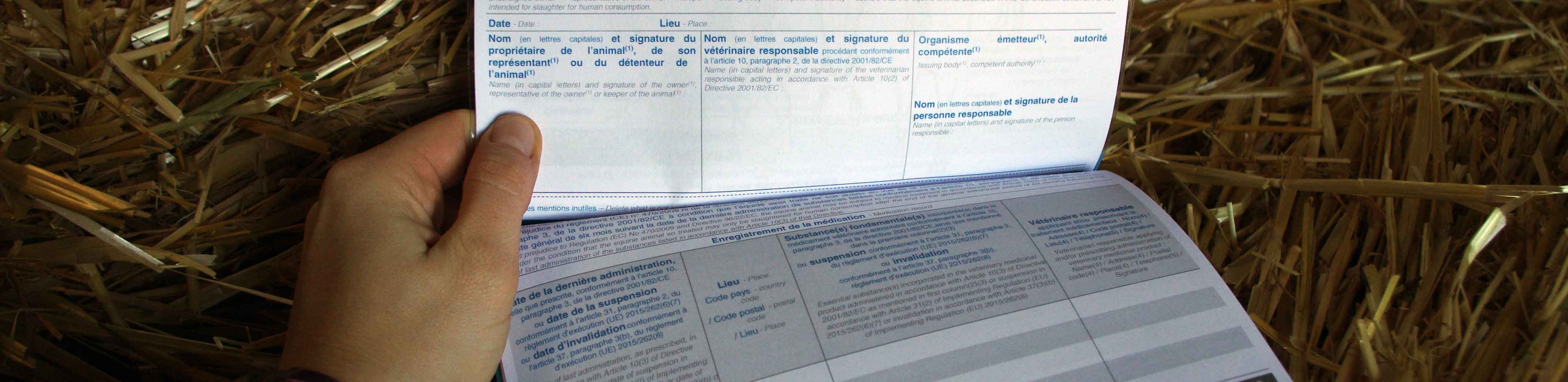 Page traitement médicamenteux d'un document d'identifcation