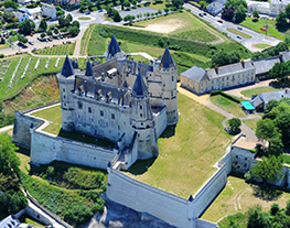 Chateau de saumur
