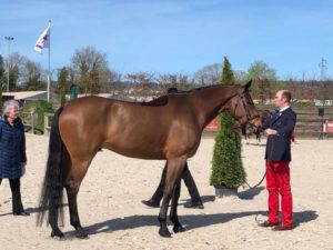Geoffray et Vol de Nuit visite