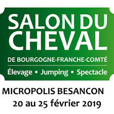 BES logo Salon du cheval Besançon 2019