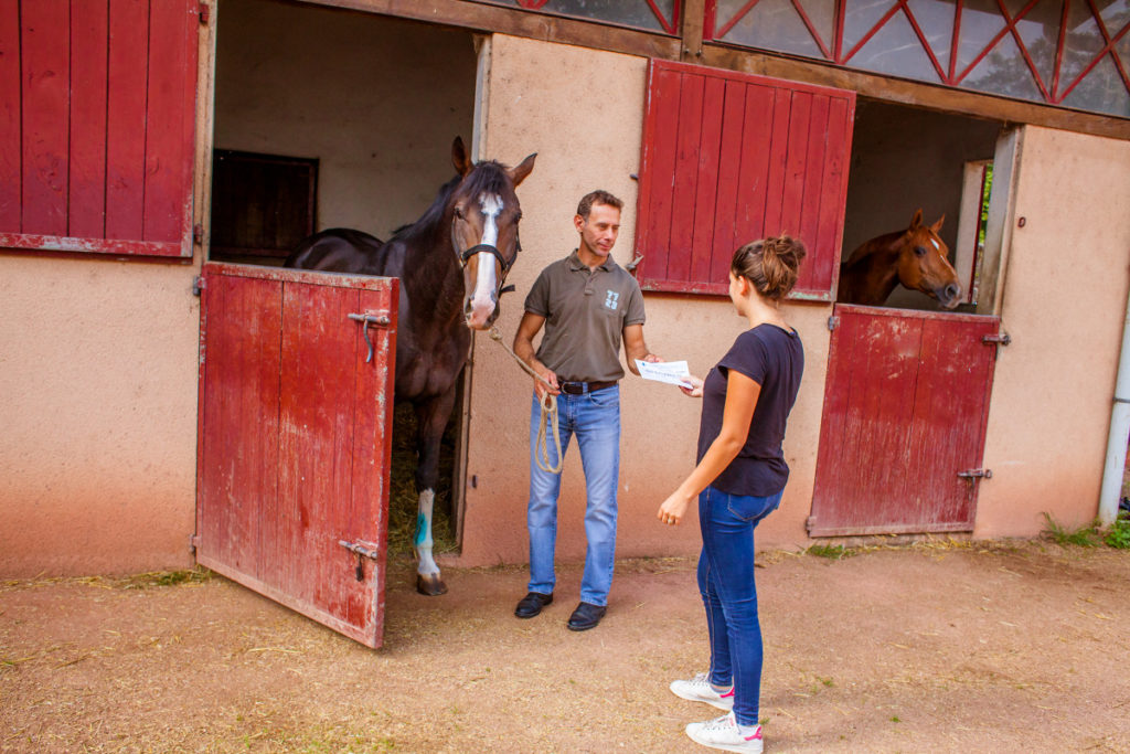 TVA - Le cheval introduit dans la liste des biens et services éligibles ...