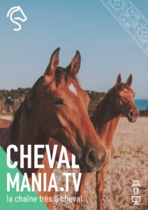Vignette ChevalManiaTV