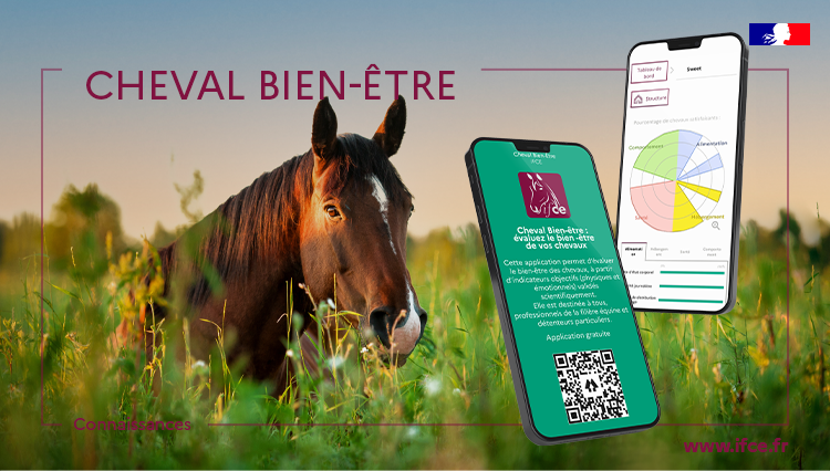 Application Cheval bien-être - L’institut français du cheval et de l’équitation