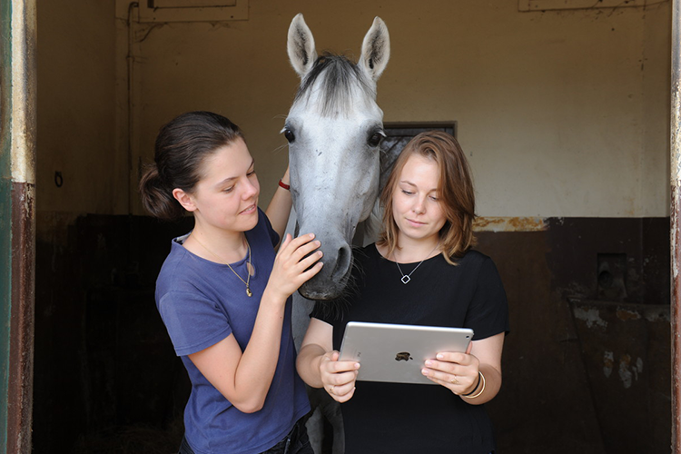 Outils de simulation - L’institut français du cheval et de l’équitation