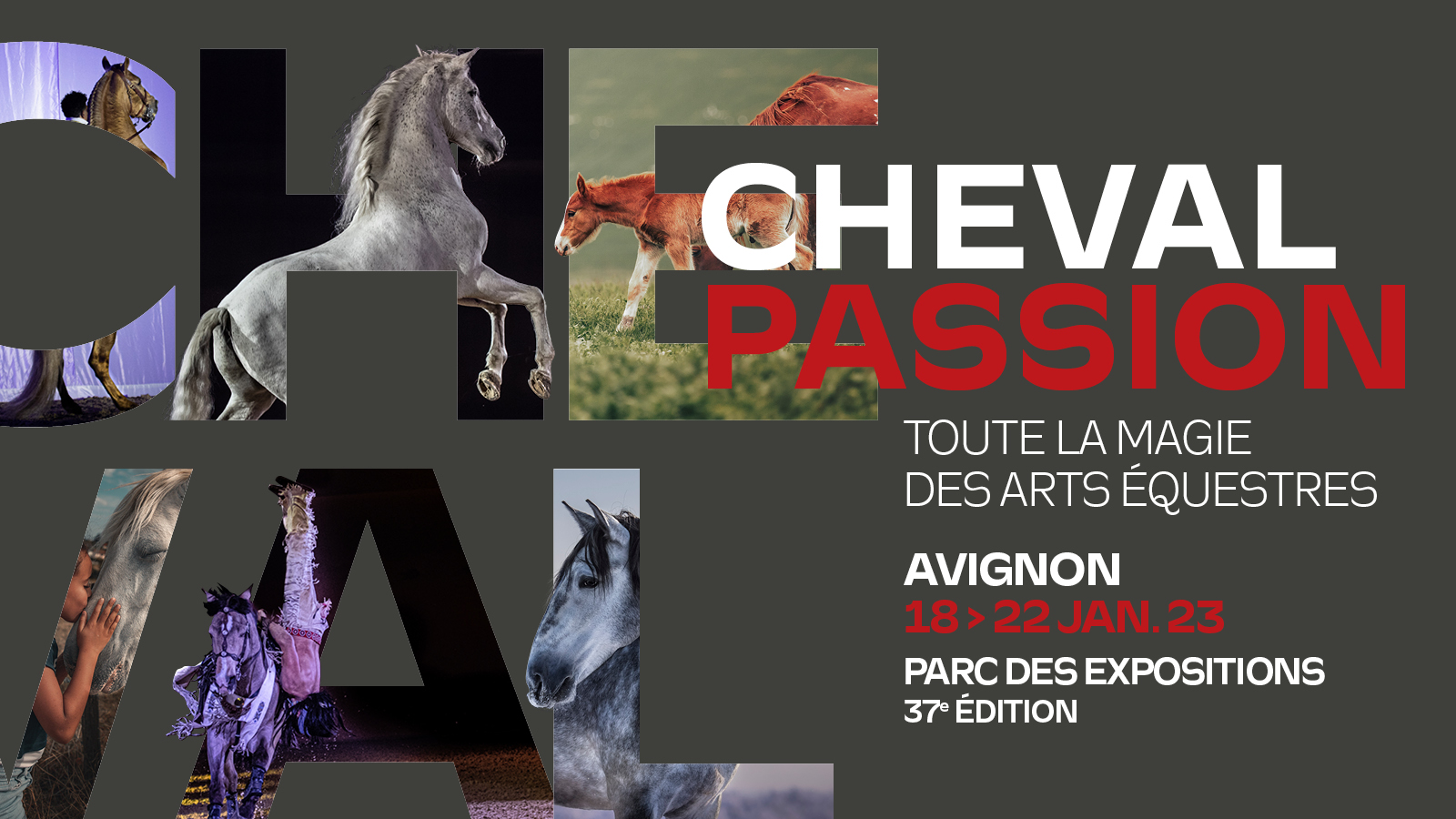 Cheval Passion - Avignon 2023 - L'institut français du cheval et