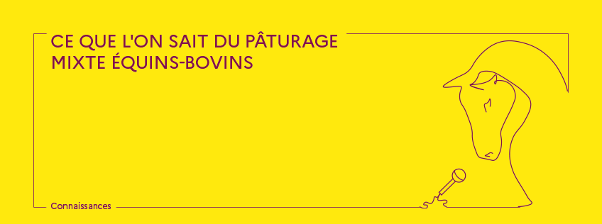 Podcast Ce que l'on sait du pâturage mixte équins-bovins