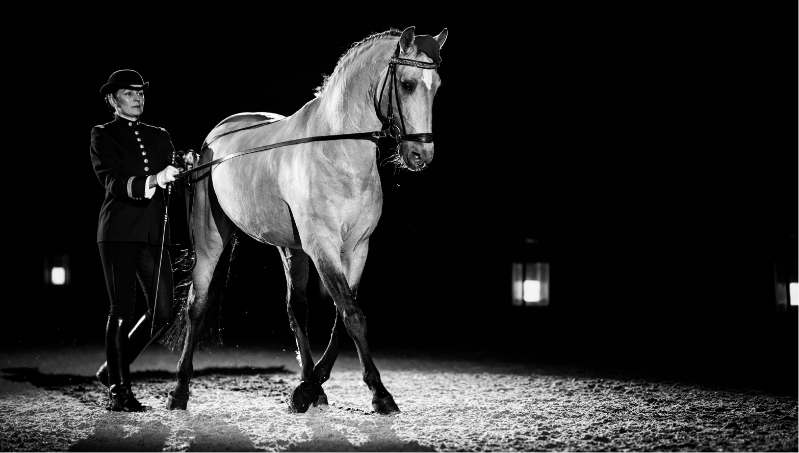 The Cadre Noir - Royal Horse