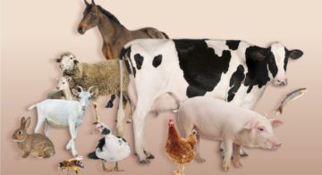Visuel des assises du sanitaire